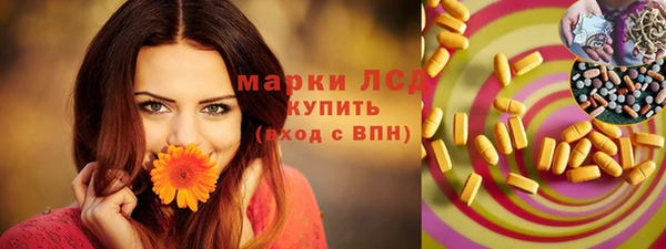 МДПВ Бородино