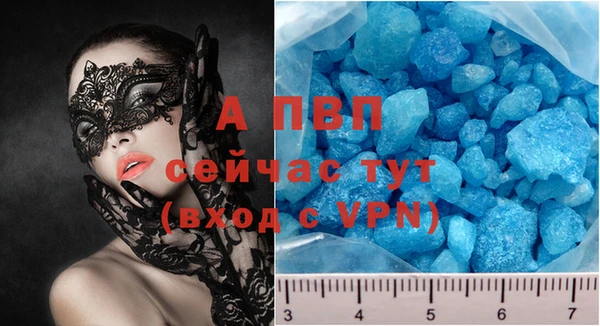 МДПВ Бородино