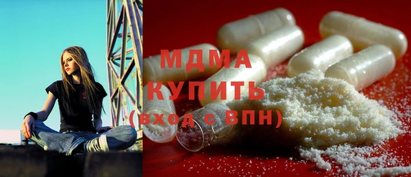 МДПВ Бородино